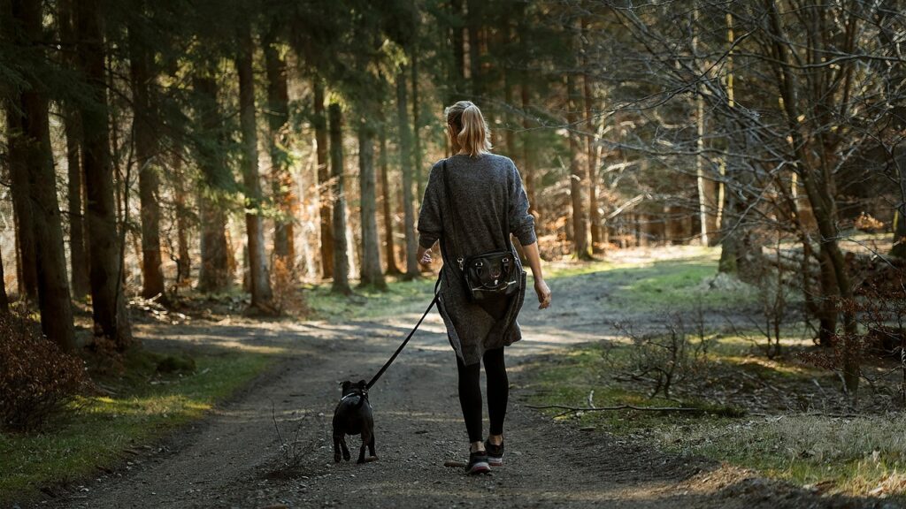 Women walking with a dog in a nature, walking is low impact workout 